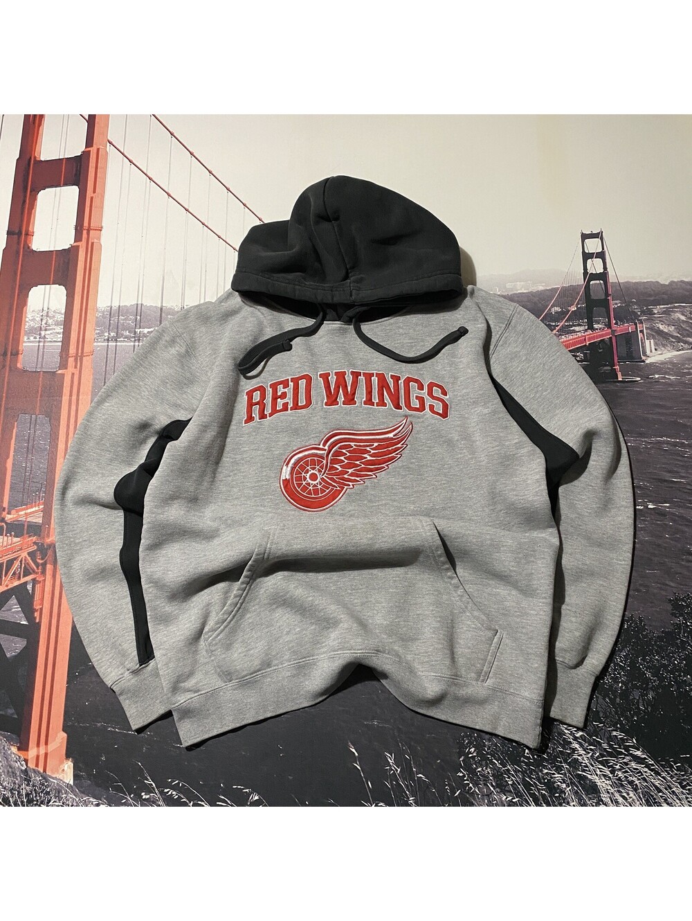 Detroit Red Wings Hoodie Mens Size Medium Official NHL Hockey Sweatshirt Jersey